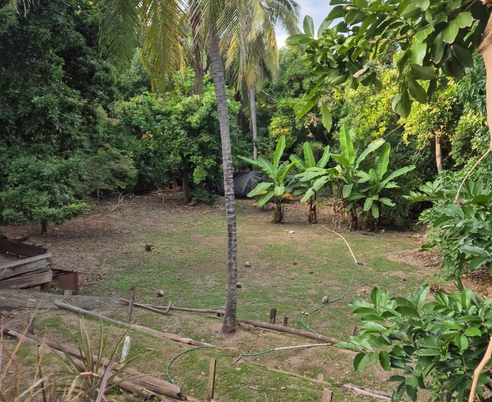 Fourteenth image of 76 Sandhurst Crescent in Kingston 6, St. Andrew, Jamaica - property is For Sale