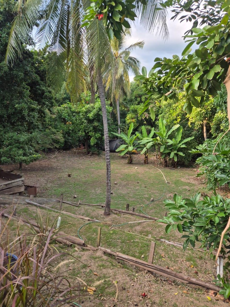 Fourteenth image of 76 Sandhurst Crescent in Kingston 6, St. Andrew, Jamaica - property is For Sale