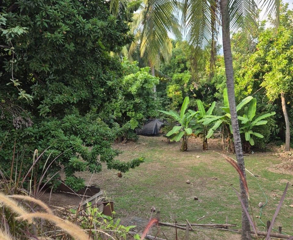Fifteenth image of 76 Sandhurst Crescent in Kingston 6, St. Andrew, Jamaica - property is For Sale