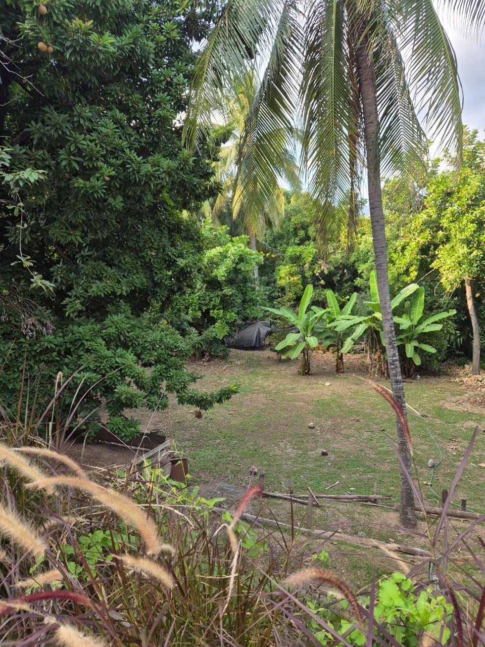Fifteenth image of 76 Sandhurst Crescent in Kingston 6, St. Andrew, Jamaica - property is For Sale