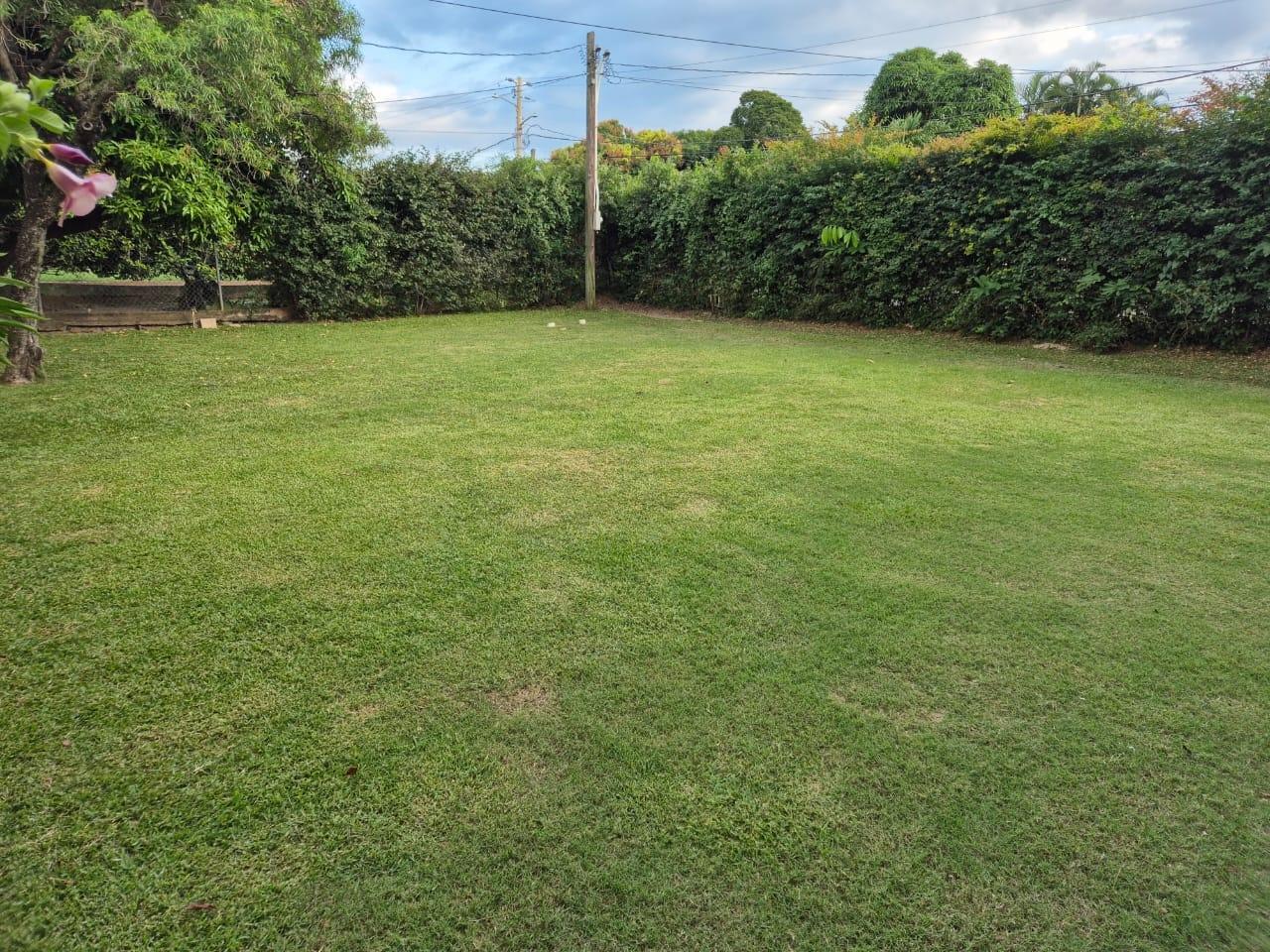 Third image of 76 Sandhurst Crescent in Kingston 6, St. Andrew, Jamaica - property is For Sale