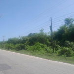 First image of Hodges, Black River in Fyffes Pen, St. Elizabeth, Jamaica - property is For Sale