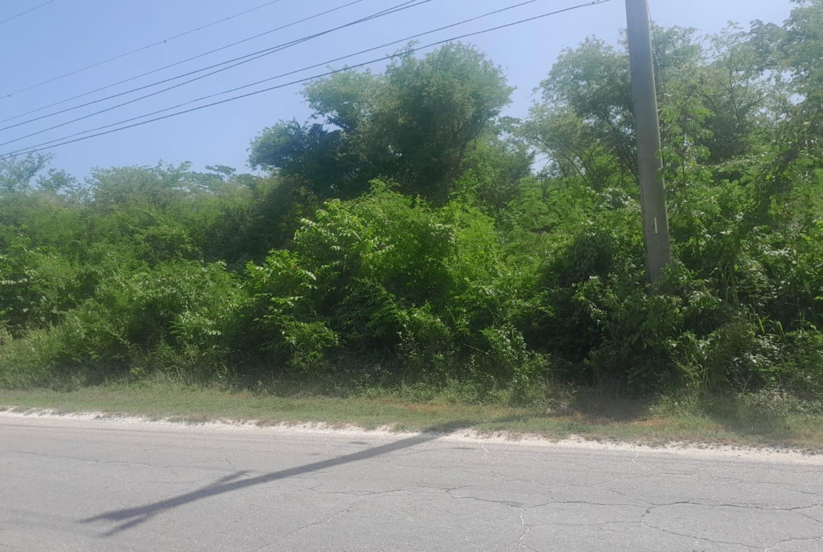 Third image of Hodges, Black River in Fyffes Pen, St. Elizabeth, Jamaica - property is For Sale