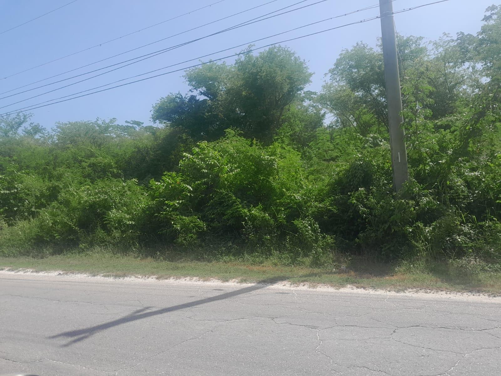 Third image of Hodges, Black River in Fyffes Pen, St. Elizabeth, Jamaica - property is For Sale