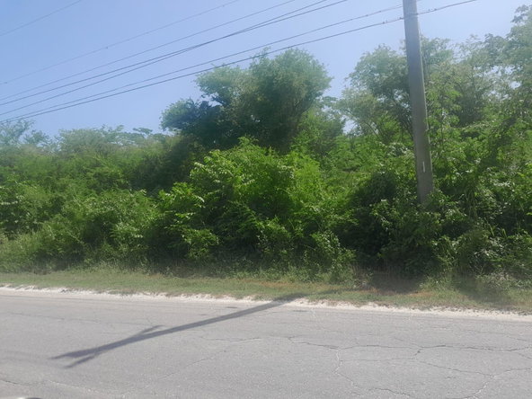 Third image of Hodges, Black River in Fyffes Pen, St. Elizabeth, Jamaica - property is For Sale