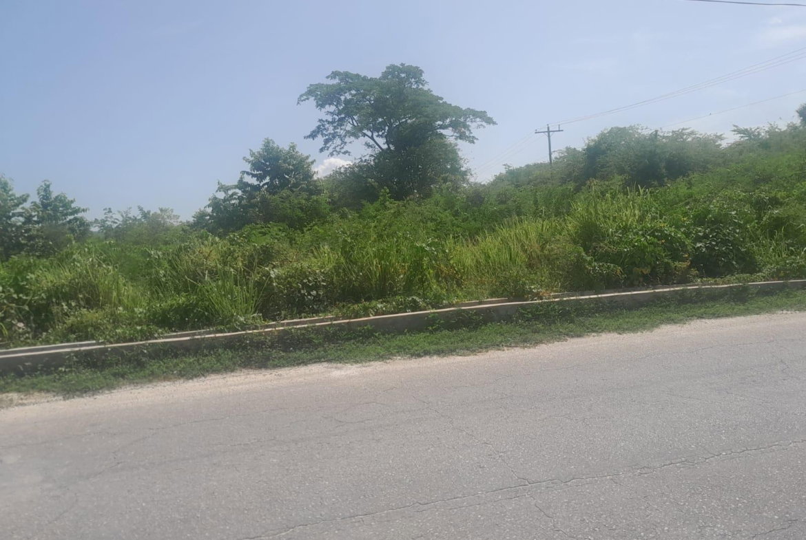 Fourth image of Hodges, Black River in Fyffes Pen, St. Elizabeth, Jamaica - property is For Sale