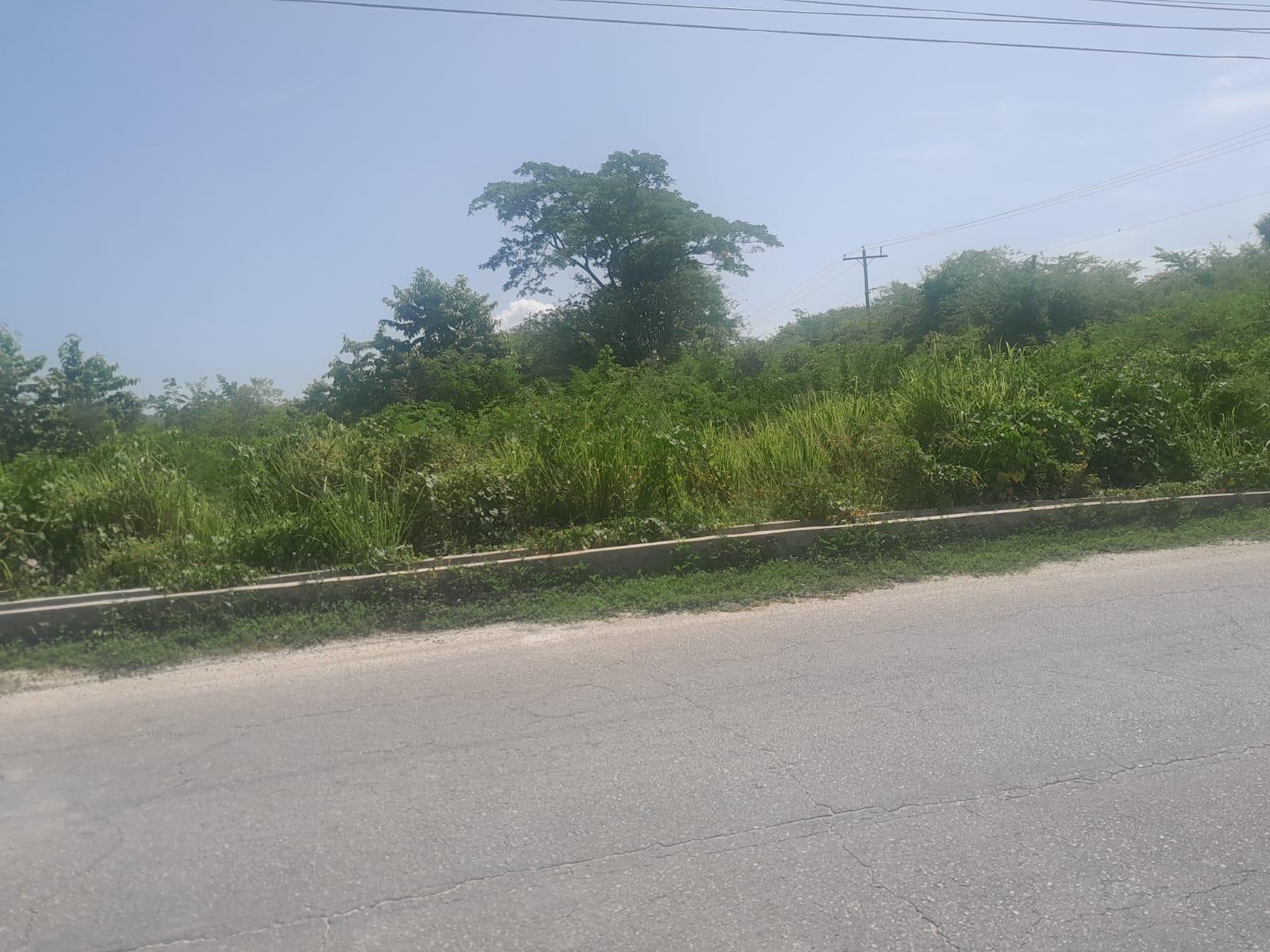 Fourth image of Hodges, Black River in Fyffes Pen, St. Elizabeth, Jamaica - property is For Sale