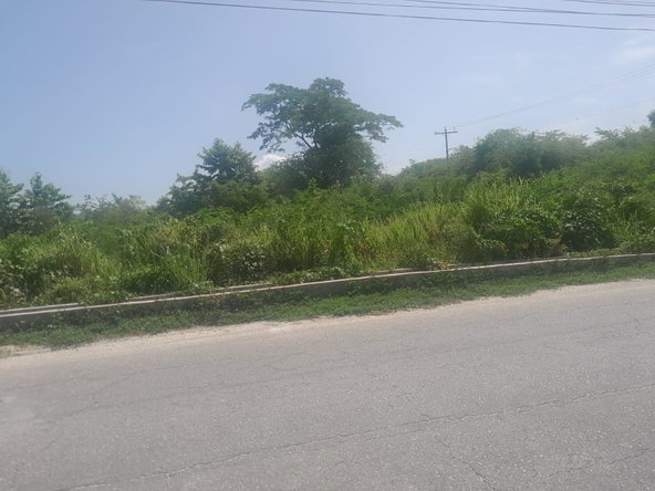 Fourth image of Hodges, Black River in Fyffes Pen, St. Elizabeth, Jamaica - property is For Sale