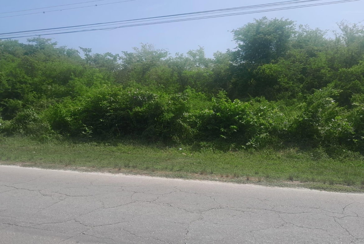 Fifth image of Hodges, Black River in Fyffes Pen, St. Elizabeth, Jamaica - property is For Sale