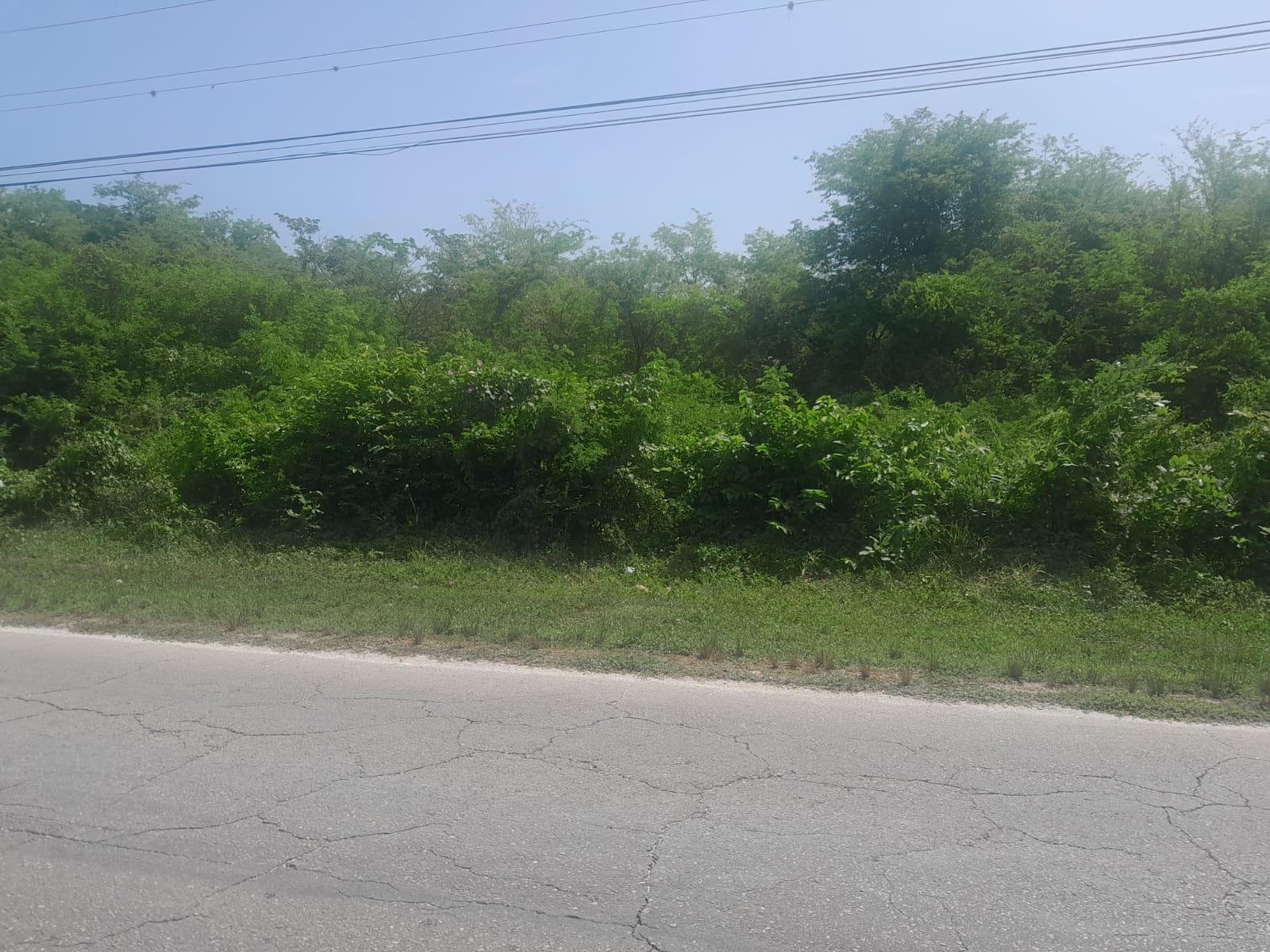 Fifth image of Hodges, Black River in Fyffes Pen, St. Elizabeth, Jamaica - property is For Sale