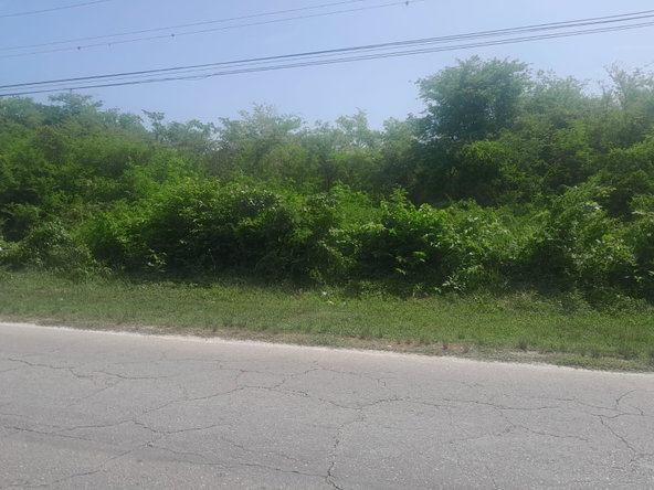 Fifth image of Hodges, Black River in Fyffes Pen, St. Elizabeth, Jamaica - property is For Sale