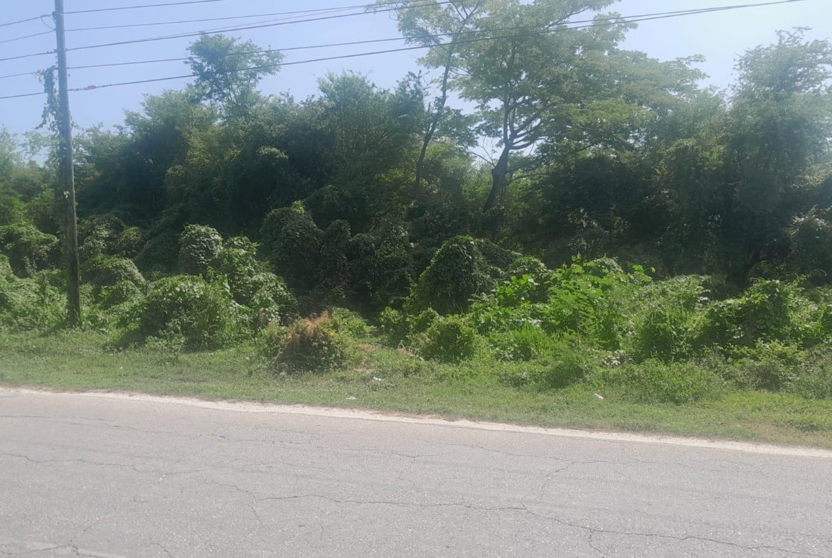 Sixth image of Hodges, Black River in Fyffes Pen, St. Elizabeth, Jamaica - property is For Sale