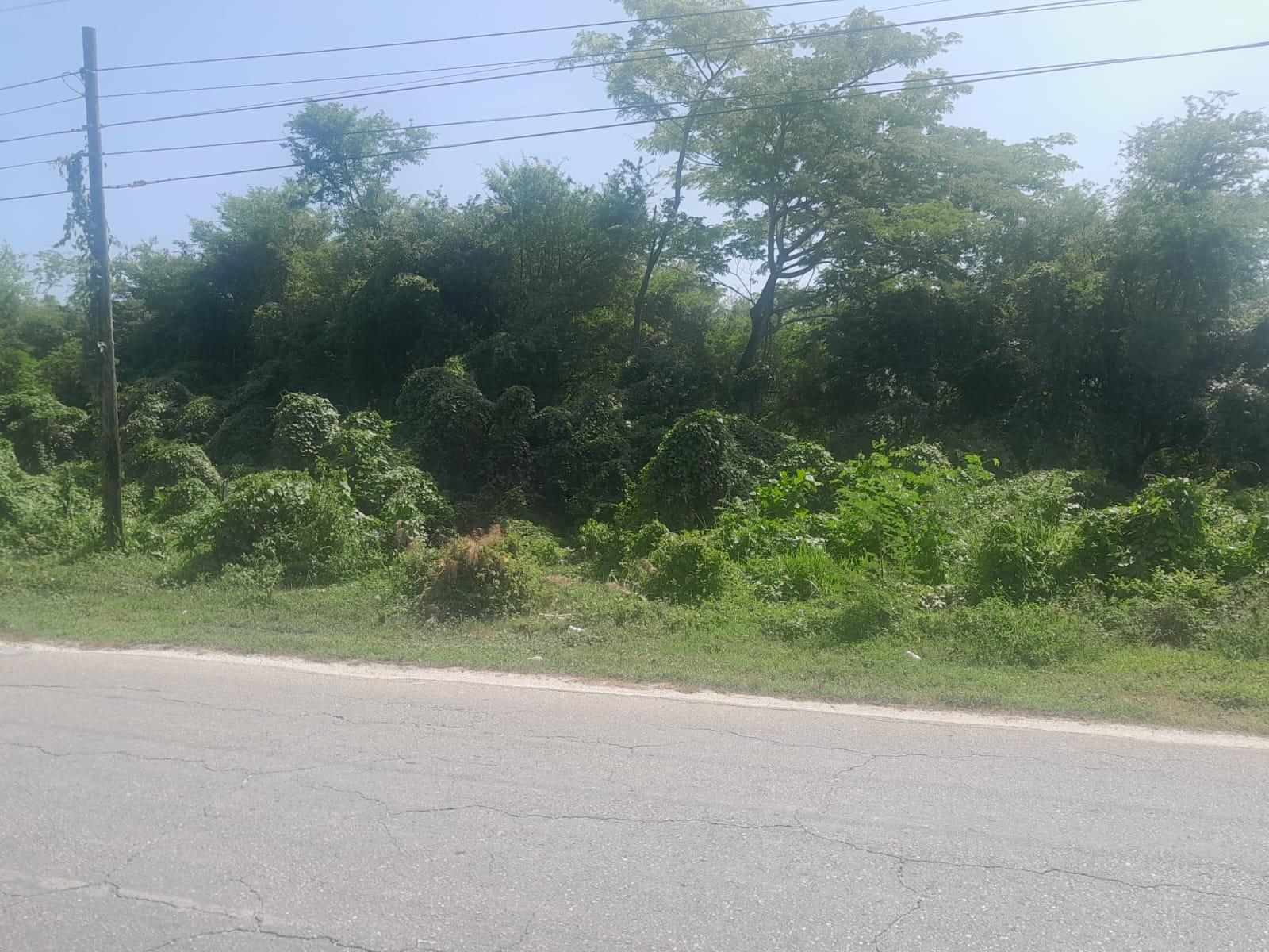 Sixth image of Hodges, Black River in Fyffes Pen, St. Elizabeth, Jamaica - property is For Sale