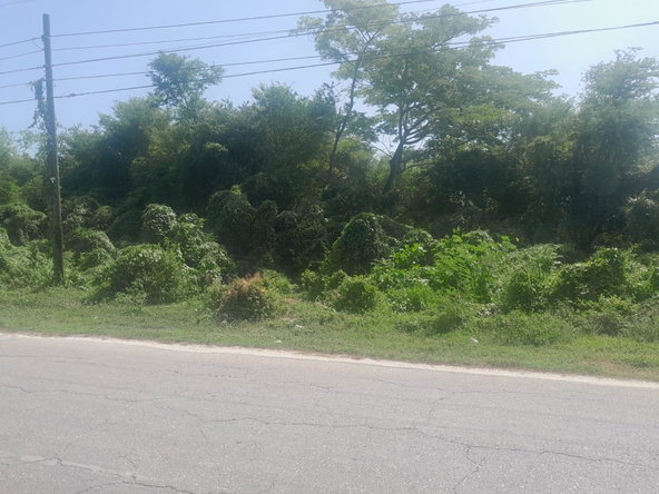 Sixth image of Hodges, Black River in Fyffes Pen, St. Elizabeth, Jamaica - property is For Sale
