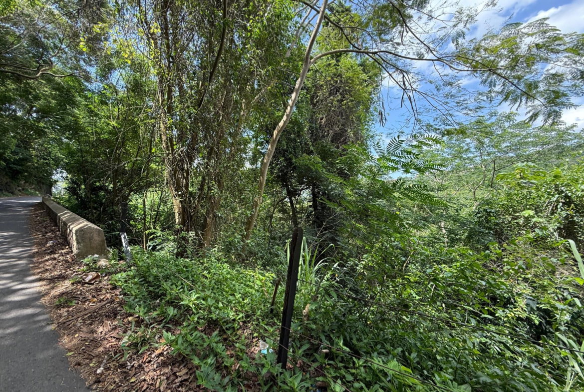 Second image of Diamond Road in Stony Hill P.O., St. Andrew, Jamaica - property is For Sale