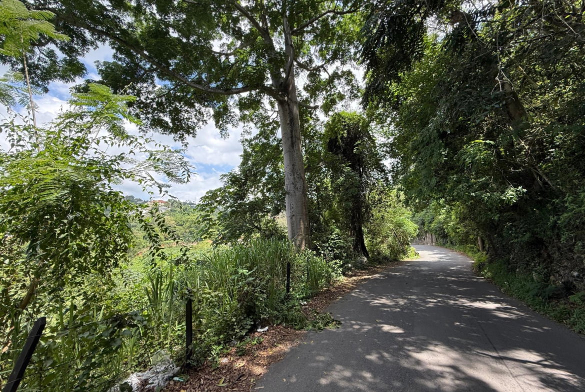 First image of Diamond Road in Stony Hill P.O., St. Andrew, Jamaica - property is For Sale