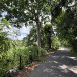 First image of Diamond Road in Stony Hill P.O., St. Andrew, Jamaica - property is For Sale