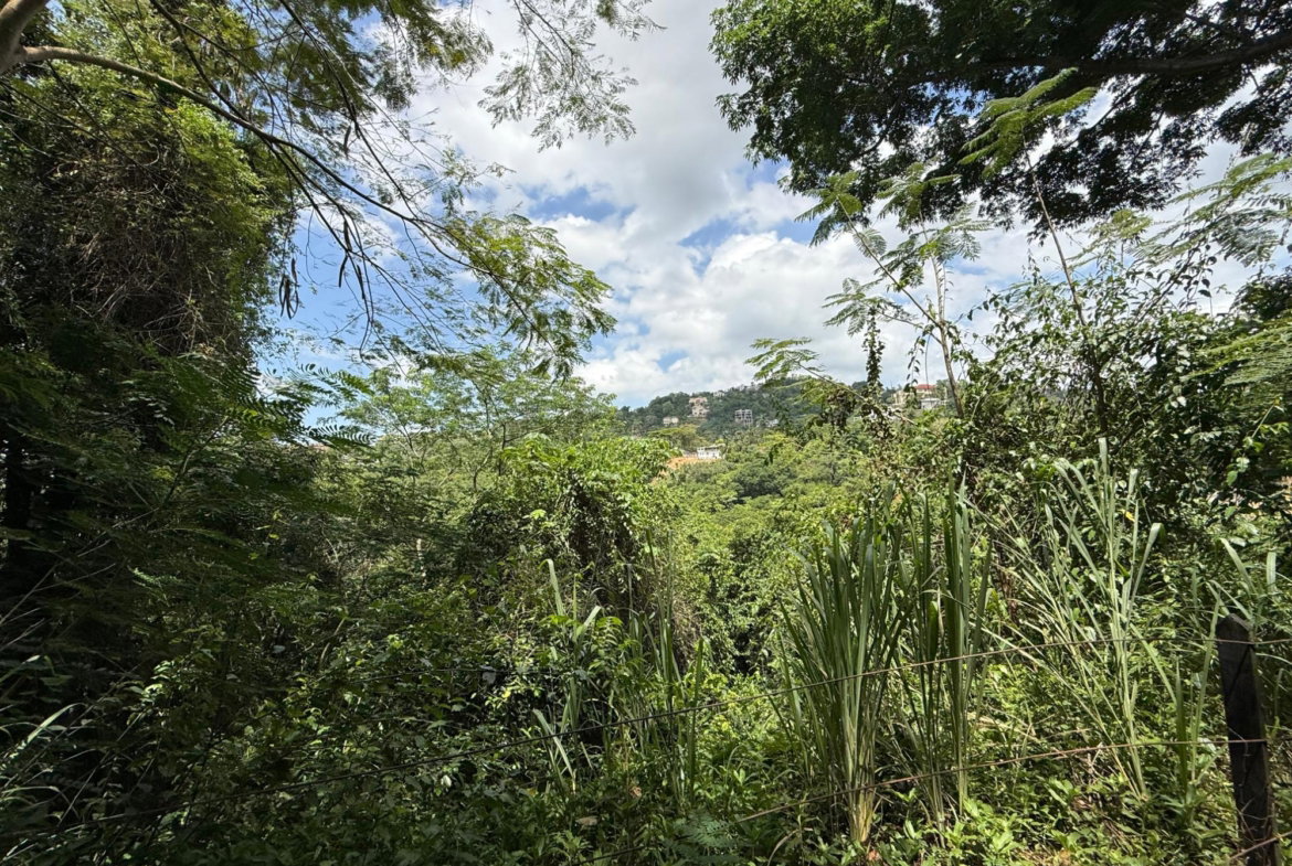 Third image of Diamond Road in Stony Hill P.O., St. Andrew, Jamaica - property is For Sale