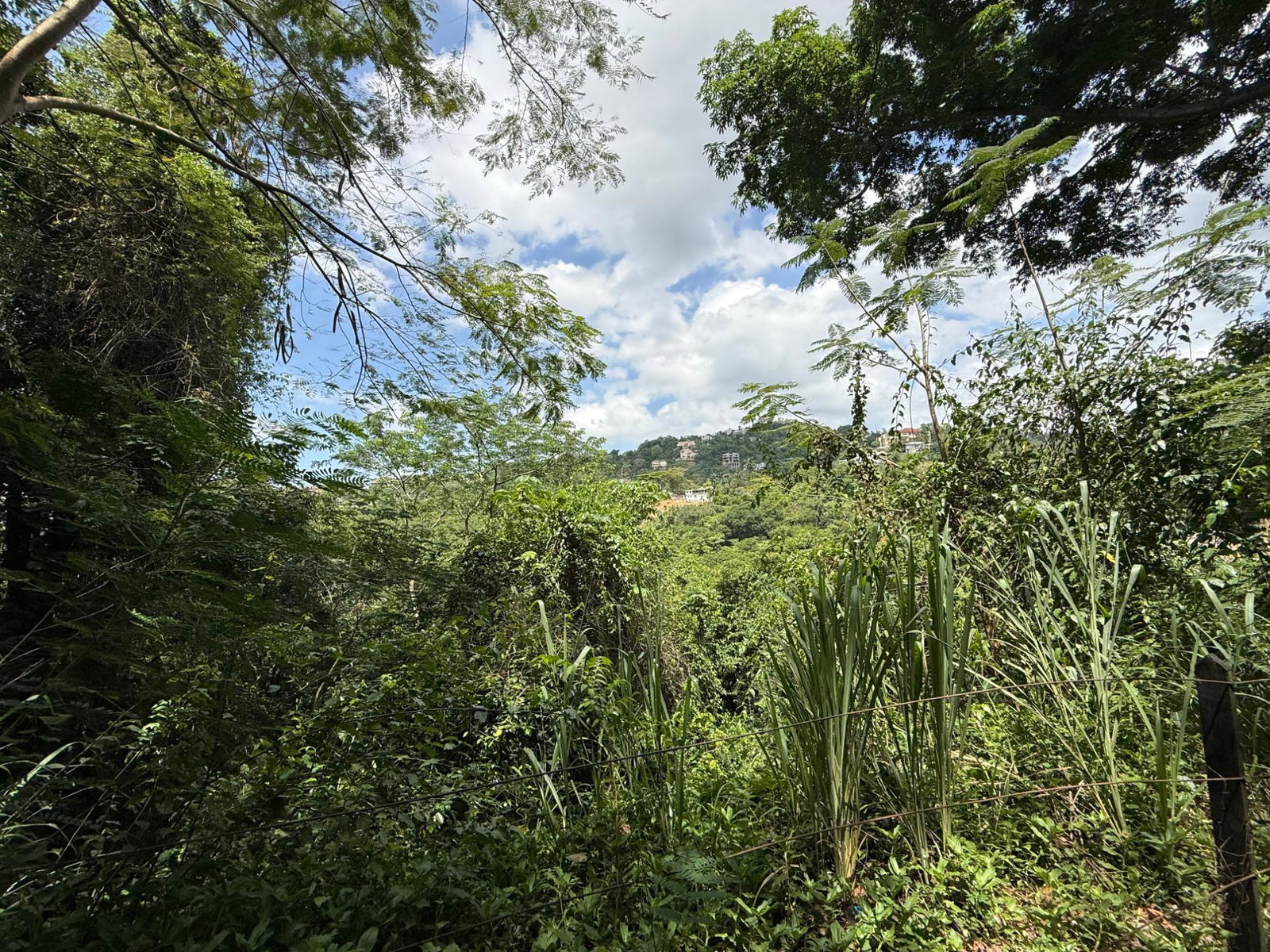 Third image of Diamond Road in Stony Hill P.O., St. Andrew, Jamaica - property is For Sale