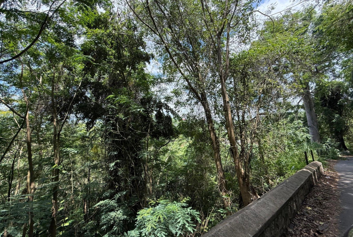 Fourth image of Diamond Road in Stony Hill P.O., St. Andrew, Jamaica - property is For Sale