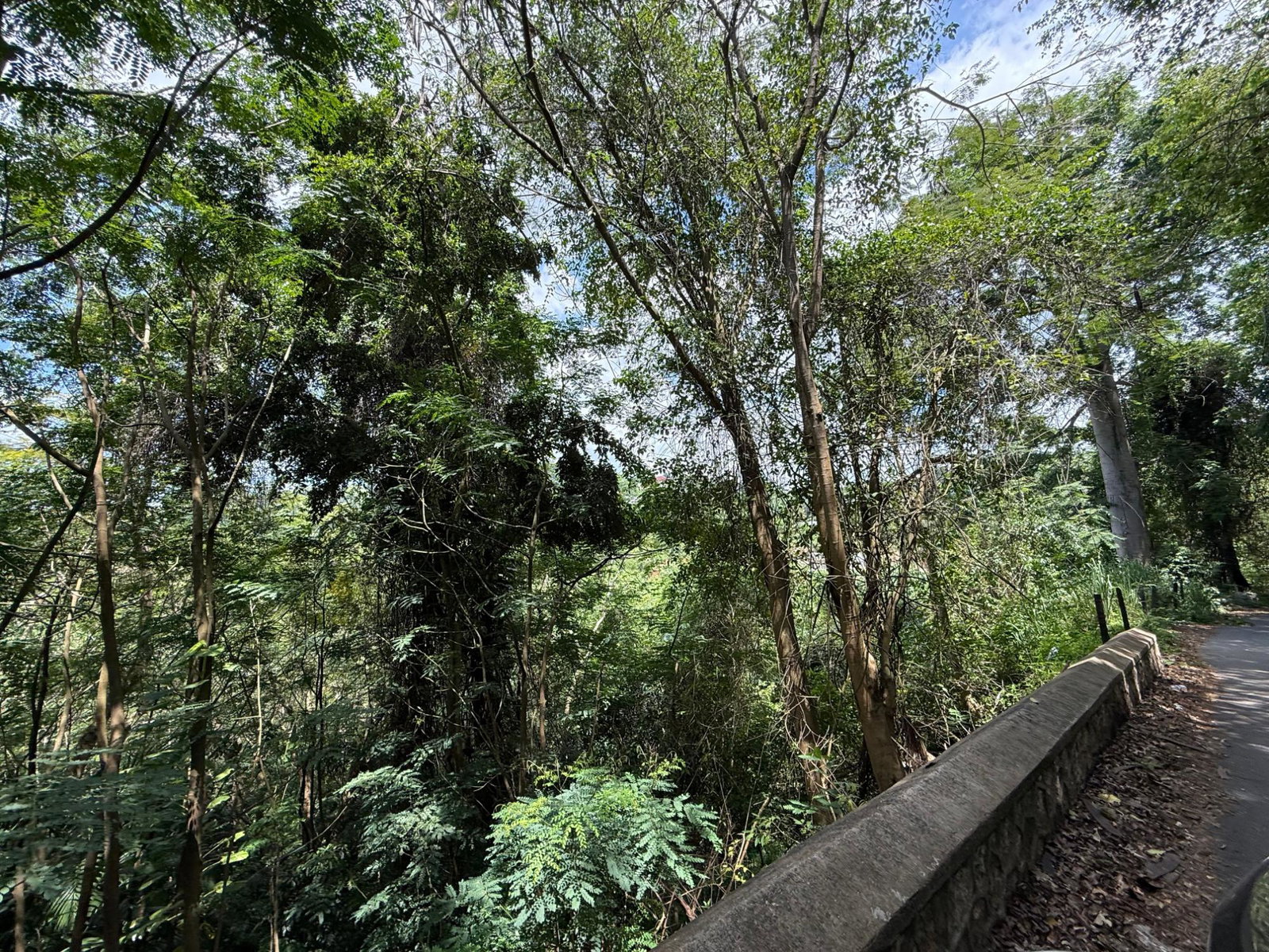 Fourth image of Diamond Road in Stony Hill P.O., St. Andrew, Jamaica - property is For Sale