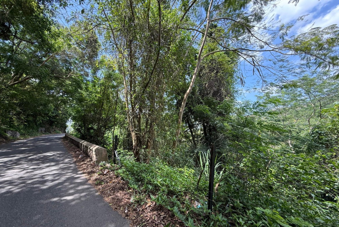Fifth image of Diamond Road in Stony Hill P.O., St. Andrew, Jamaica - property is For Sale