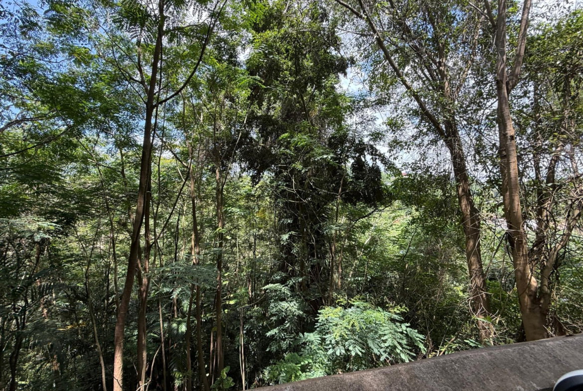 Sixth image of Diamond Road in Stony Hill P.O., St. Andrew, Jamaica - property is For Sale