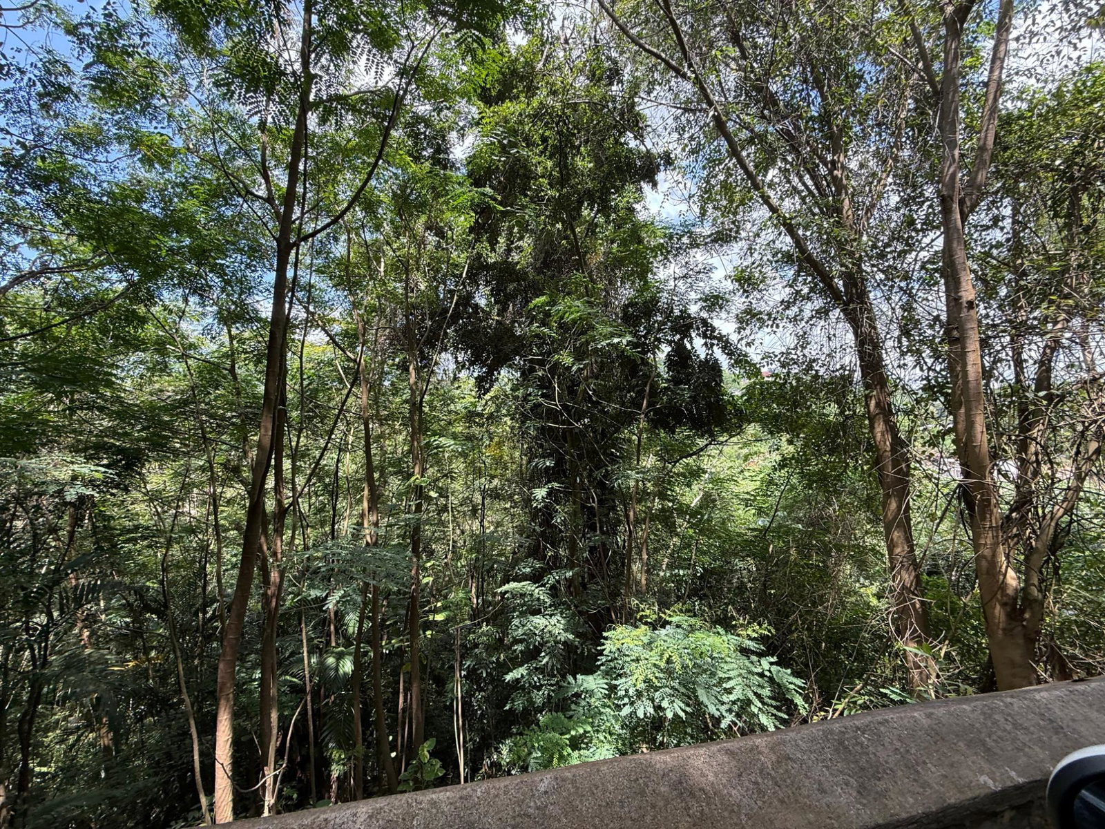 Sixth image of Diamond Road in Stony Hill P.O., St. Andrew, Jamaica - property is For Sale