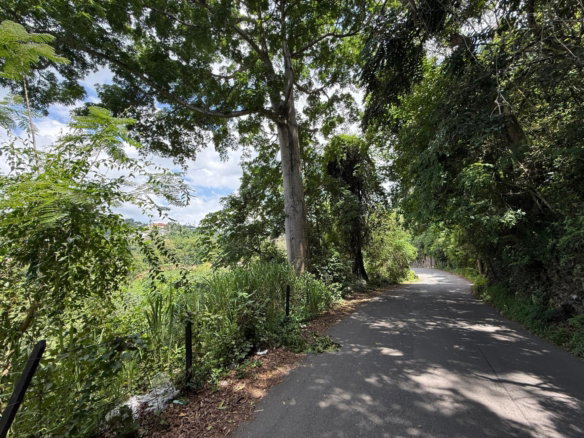 First image of Diamond Road in Stony Hill P.O., St. Andrew, Jamaica - property is For Sale