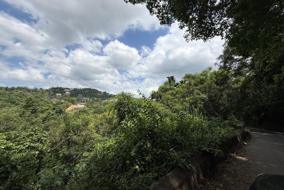 Seventh image of Diamond Road in Stony Hill P.O., St. Andrew, Jamaica - property is For Sale