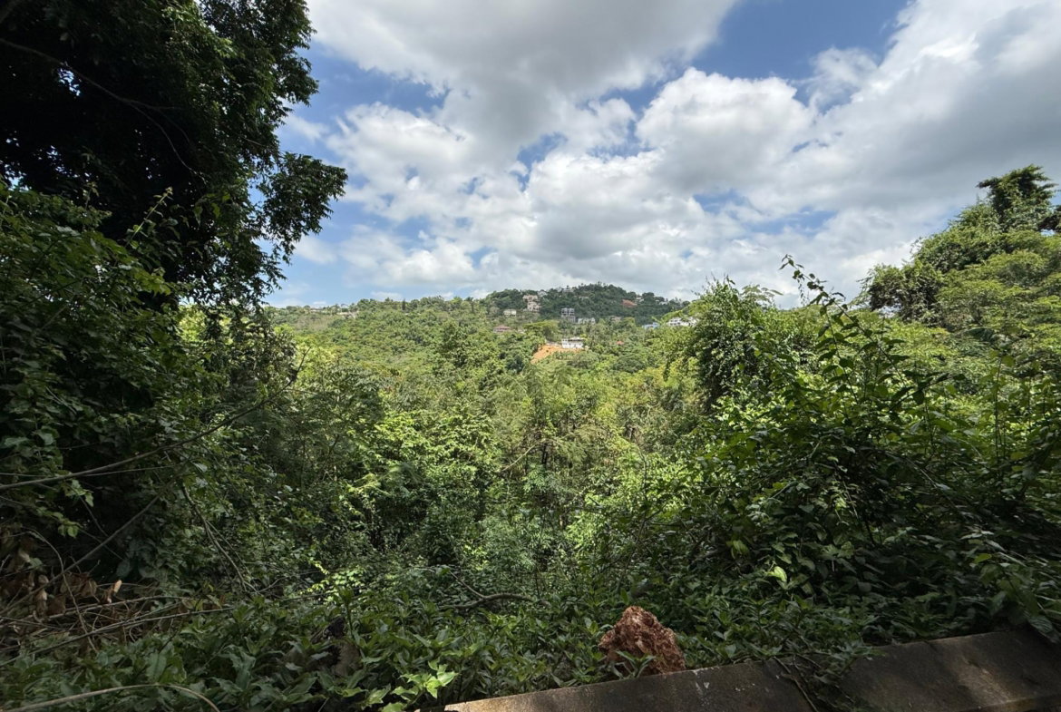 Eighth image of Diamond Road in Stony Hill P.O., St. Andrew, Jamaica - property is For Sale
