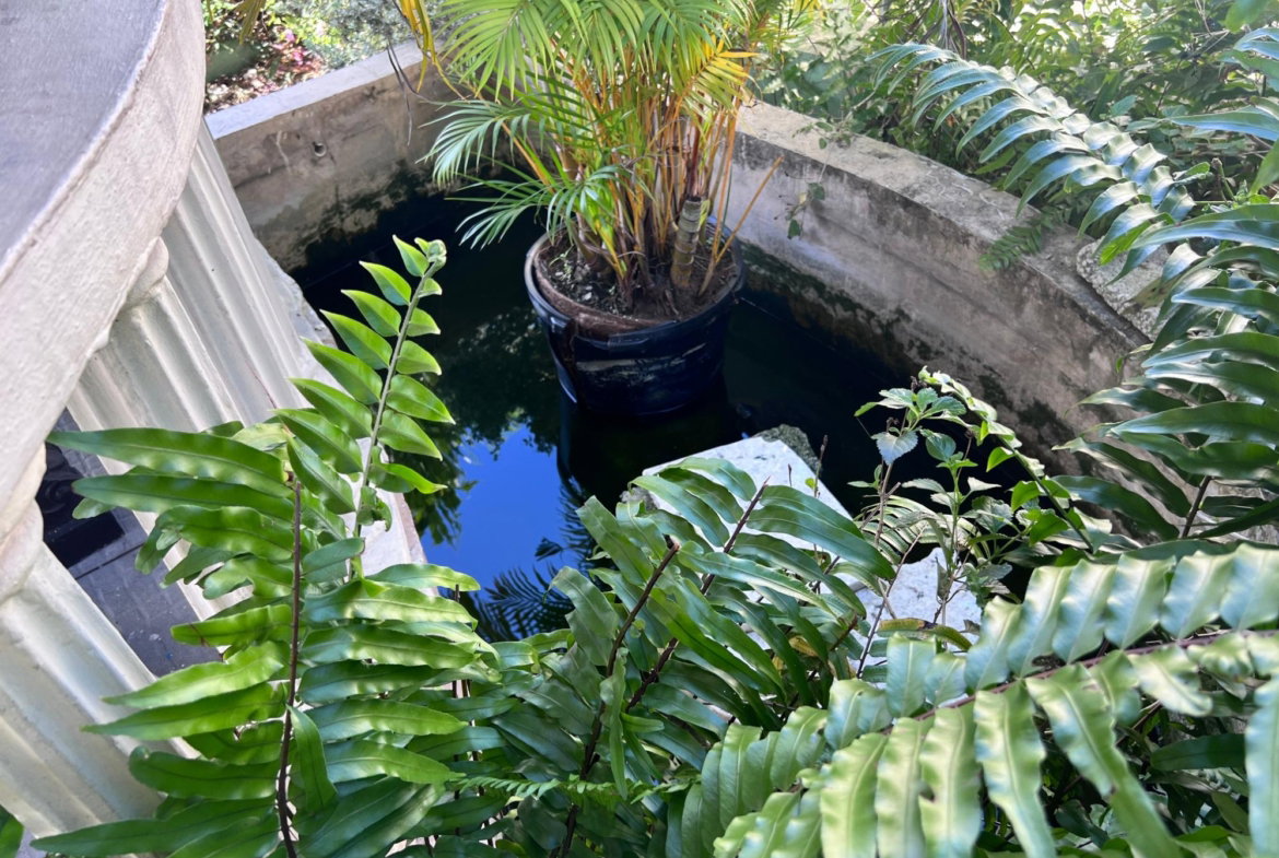Eleventh image of East Armour Heights in Constant Spring P.O., St. Andrew, Jamaica - property is For Sale