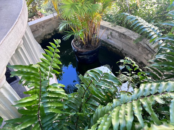 Eleventh image of East Armour Heights in Constant Spring P.O., St. Andrew, Jamaica - property is For Sale