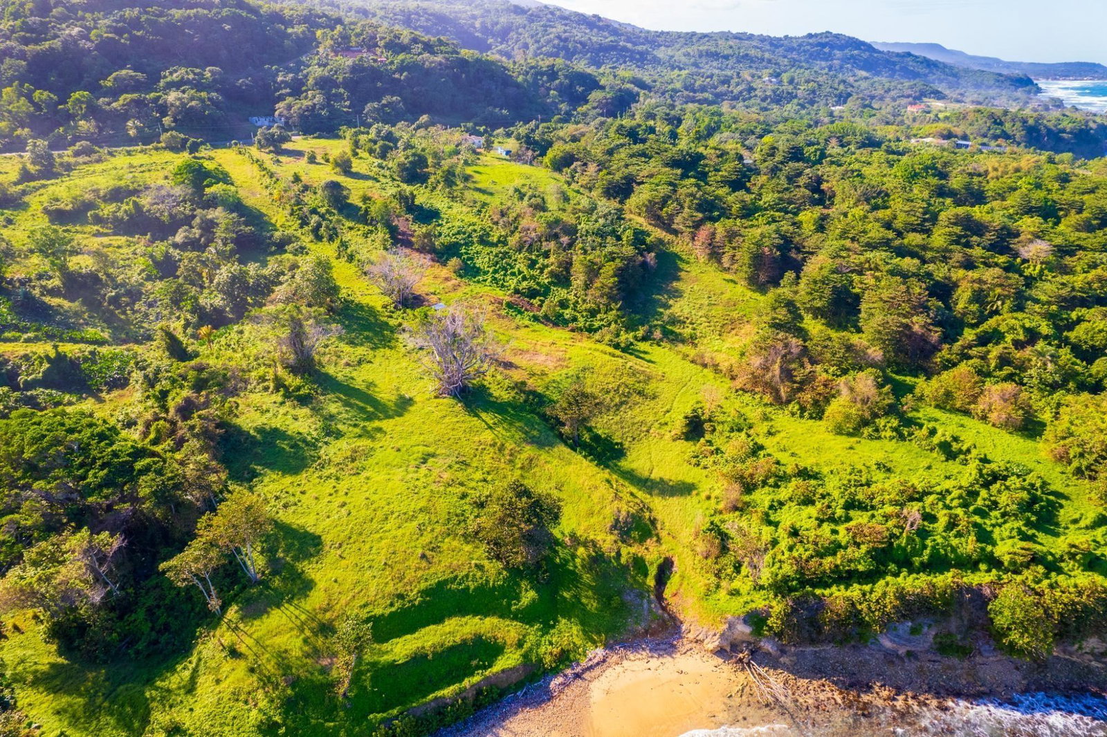 Private-Beachfront-Development-Land-for-Sale-in-Portland-Jamaica-Heavens-Laugh Tenth image of Ross Craig in Manchioneal, Portland, Jamaica - property is For Sale