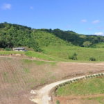 First image of Bigwoods, Darliston in Bigwoods, Westmoreland, Jamaica - property is For Sale