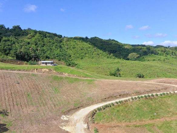 First image of Bigwoods, Darliston in Bigwoods, Westmoreland, Jamaica - property is For Sale
