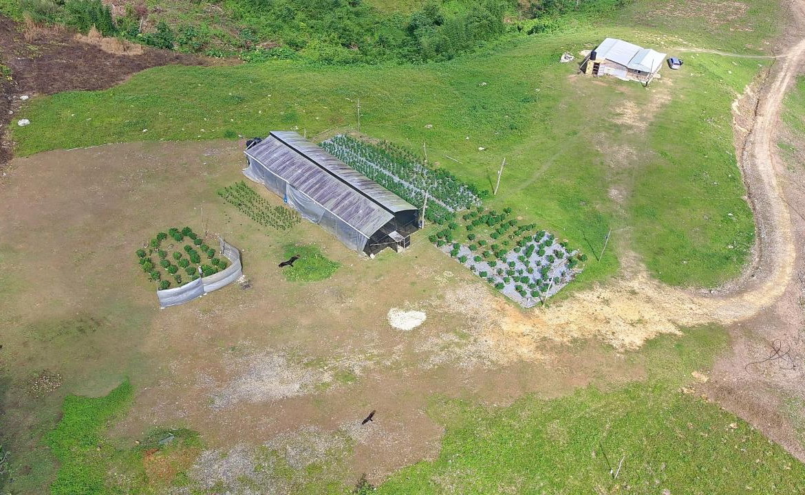 Ninth image of Bigwoods, Darliston in Bigwoods, Westmoreland, Jamaica - property is For Sale