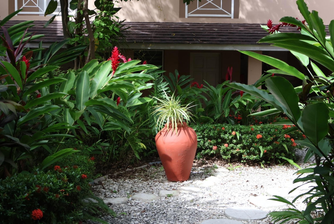 Second image of 30- Manor Court Mews in Kingston 8, St. Andrew, Jamaica - property is For Rent