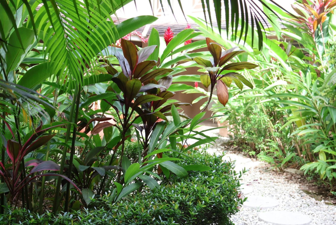 First image of 30- Manor Court Mews in Kingston 8, St. Andrew, Jamaica - property is For Rent