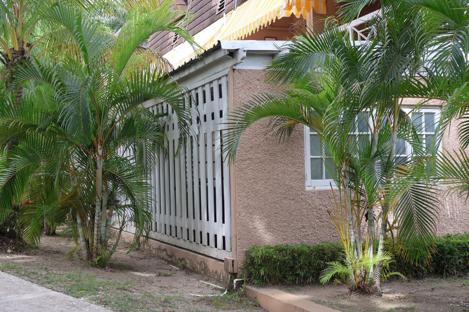 Twenty-Eighth image of 30- Manor Court Mews in Kingston 8, St. Andrew, Jamaica - property is For Rent