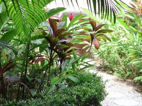 First image of 30- Manor Court Mews in Kingston 8, St. Andrew, Jamaica - property is For Rent