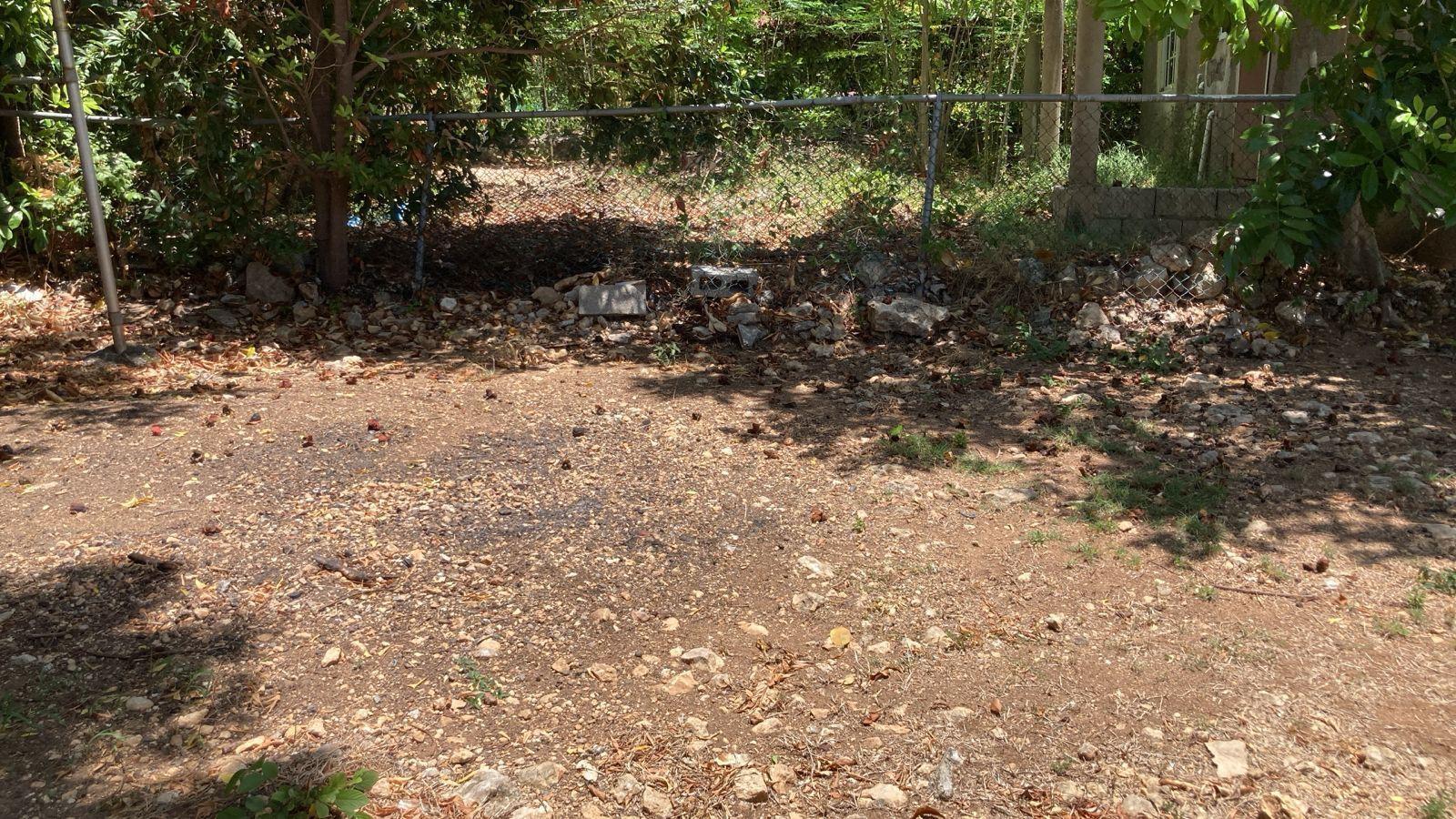 Third image of 119 d Rose Street, Longsville p in Longville Park, Clarendon, Jamaica - property is For Rent