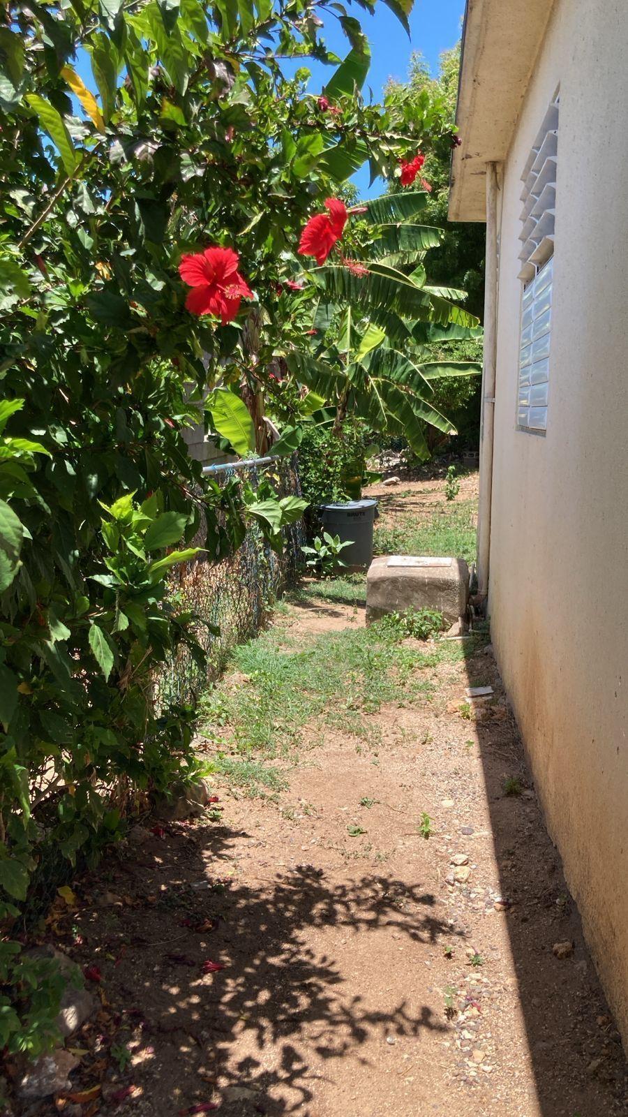 Fourth image of 119 d Rose Street, Longsville p in Longville Park, Clarendon, Jamaica - property is For Rent