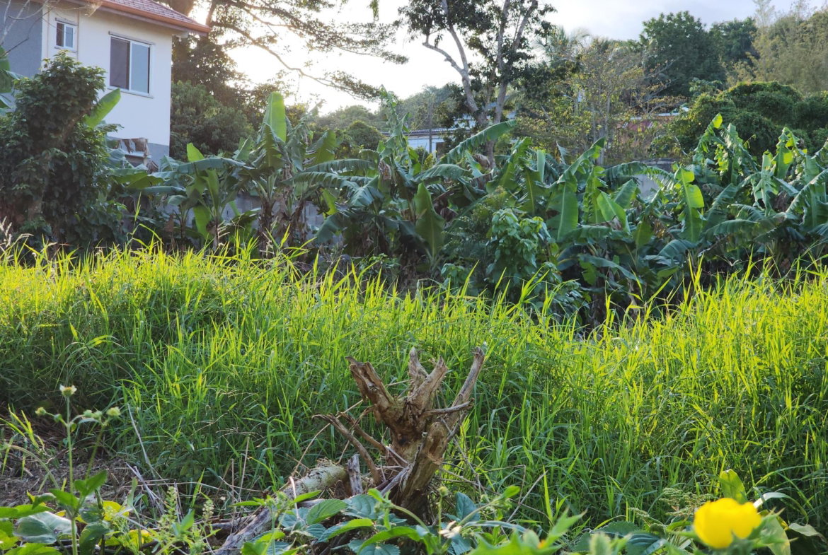 Third image of 22 Perthland Crescent in Mandeville, Manchester, Jamaica - property is For Sale