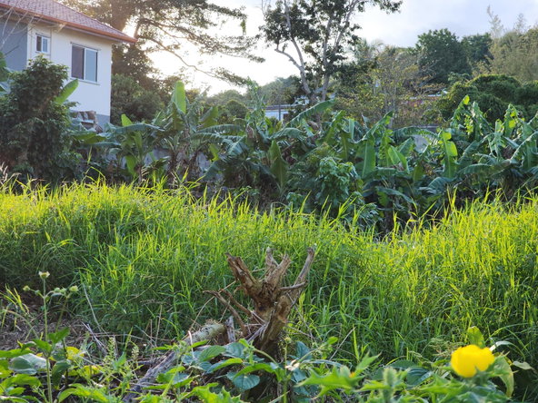 Third image of 22 Perthland Crescent in Mandeville, Manchester, Jamaica - property is For Sale