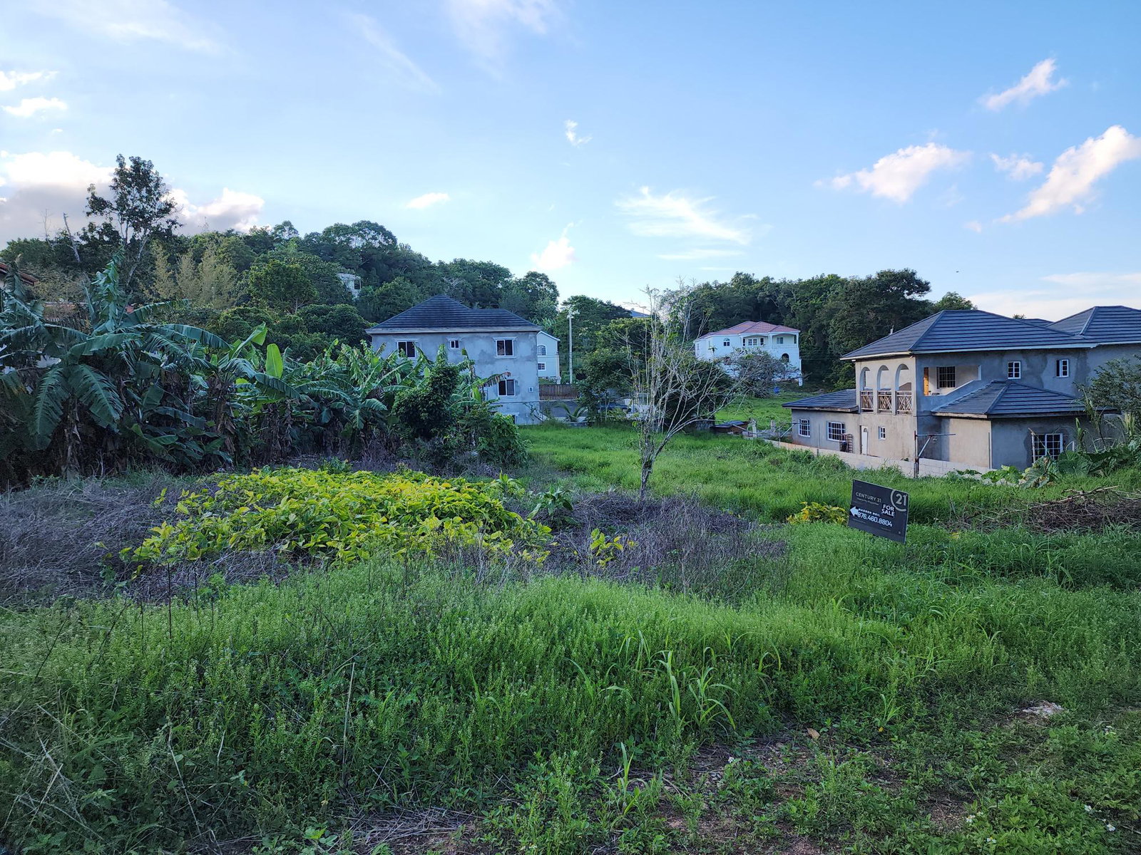 Residential-Lot-for-Sale-at-22-Perthland-Crescent-Mandeville-Manchester-Jamaica Eighth image of 22 Perthland Crescent in Mandeville, Manchester, Jamaica - property is For Sale