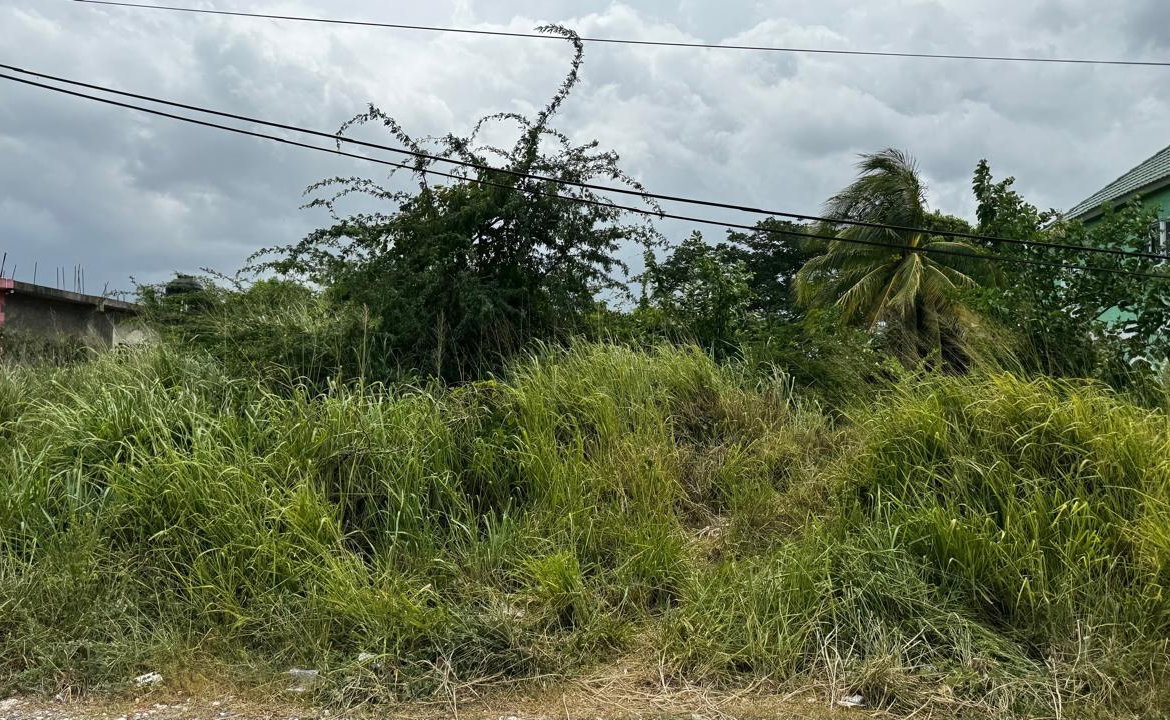 Second image of Lot 133-24 Hermington Parkway, Avon in Avon Park, St. Catherine, Jamaica - property is For Sale