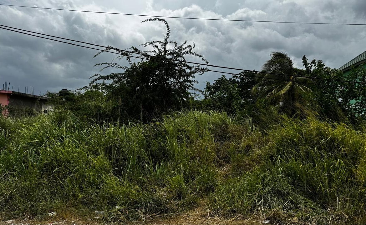 Third image of Lot 133-24 Hermington Parkway, Avon in Avon Park, St. Catherine, Jamaica - property is For Sale