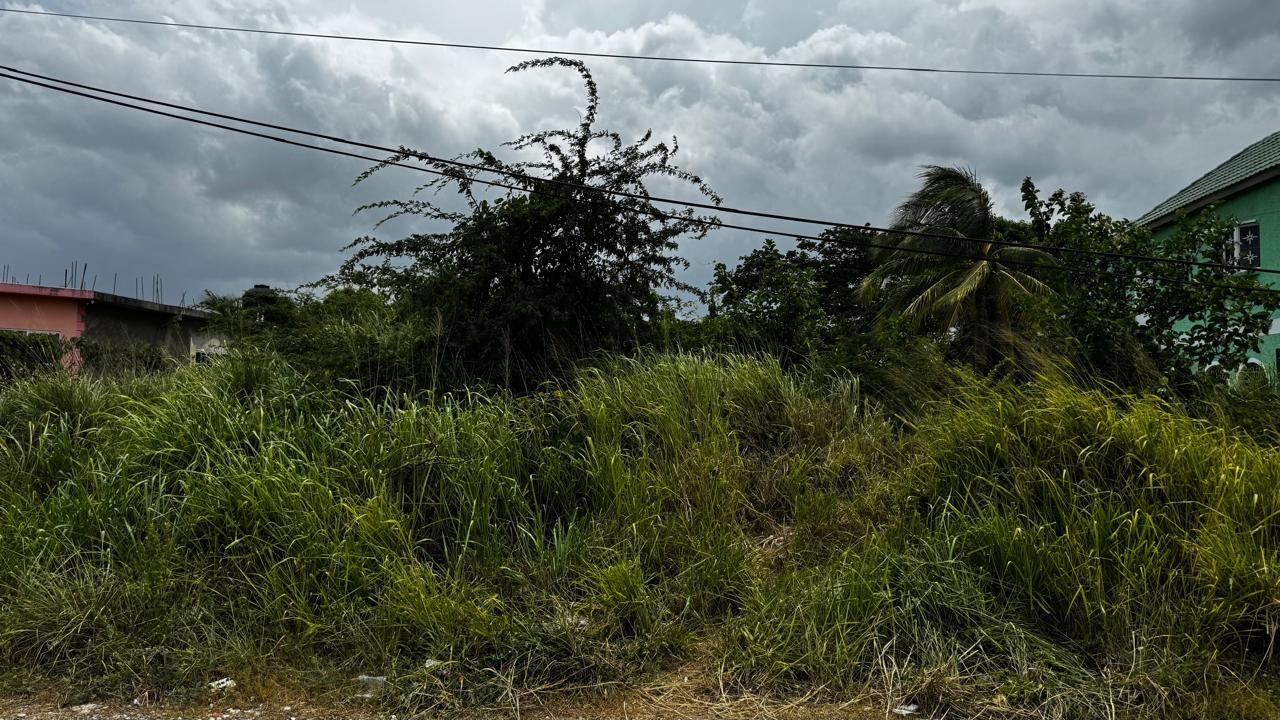 Third image of Lot 133-24 Hermington Parkway, Avon in Avon Park, St. Catherine, Jamaica - property is For Sale