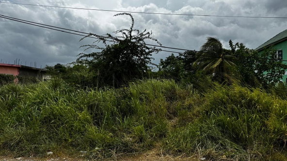 Third image of Lot 133-24 Hermington Parkway, Avon in Avon Park, St. Catherine, Jamaica - property is For Sale